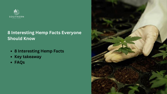 8 Interesting Hemp Facts Everyone Should Know